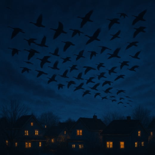 birds migrating at night over our neighborhood  make the skies dark blue with gentle warm lights in the houses below