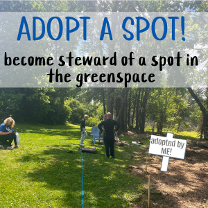 Adopt a Spot Home Page