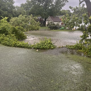 Bob O Link Flooding 1