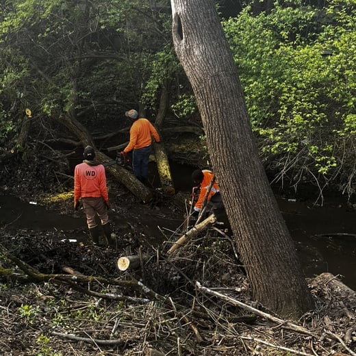 Clearing Blockage 2