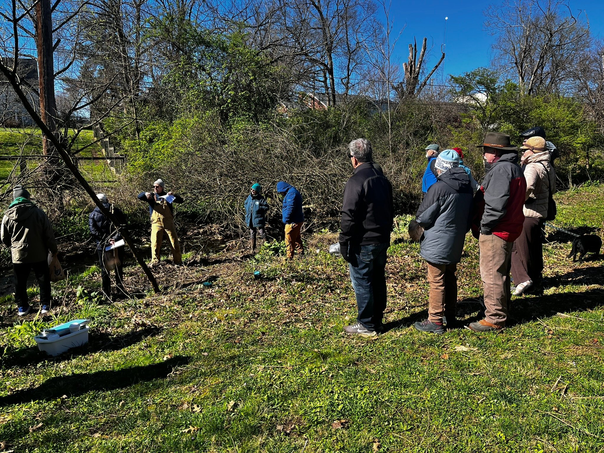 Explore Our Streams 5