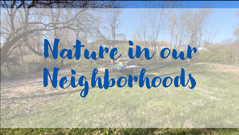 Screenshot 2026-03-30 100942