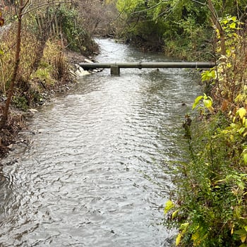 Mark Felice Vaughns Branch Looks Good