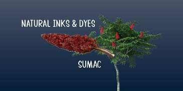 Natural Inks and Dyes with Sumac - image of sumac and seed pod