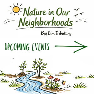 Nature in our Neighborhoods Upcoming Events