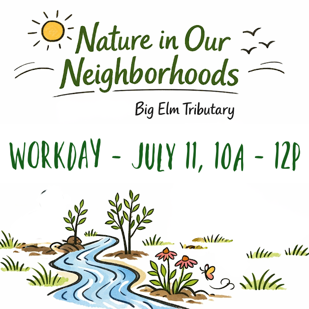 Nature in our Neighborhoods Workday July 11