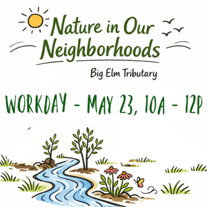 Nature in our Neighborhoods Workday