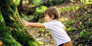 child reaching out towards a moss-covered tree