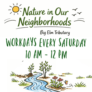 Saturday Workdays in the Greenspace