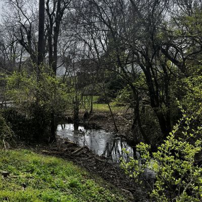 Riparian