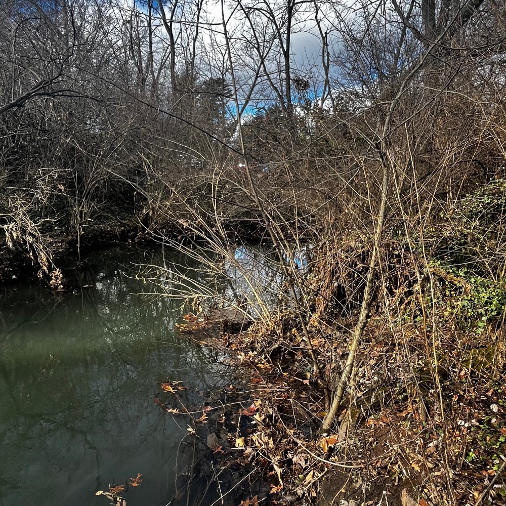 Stream 1