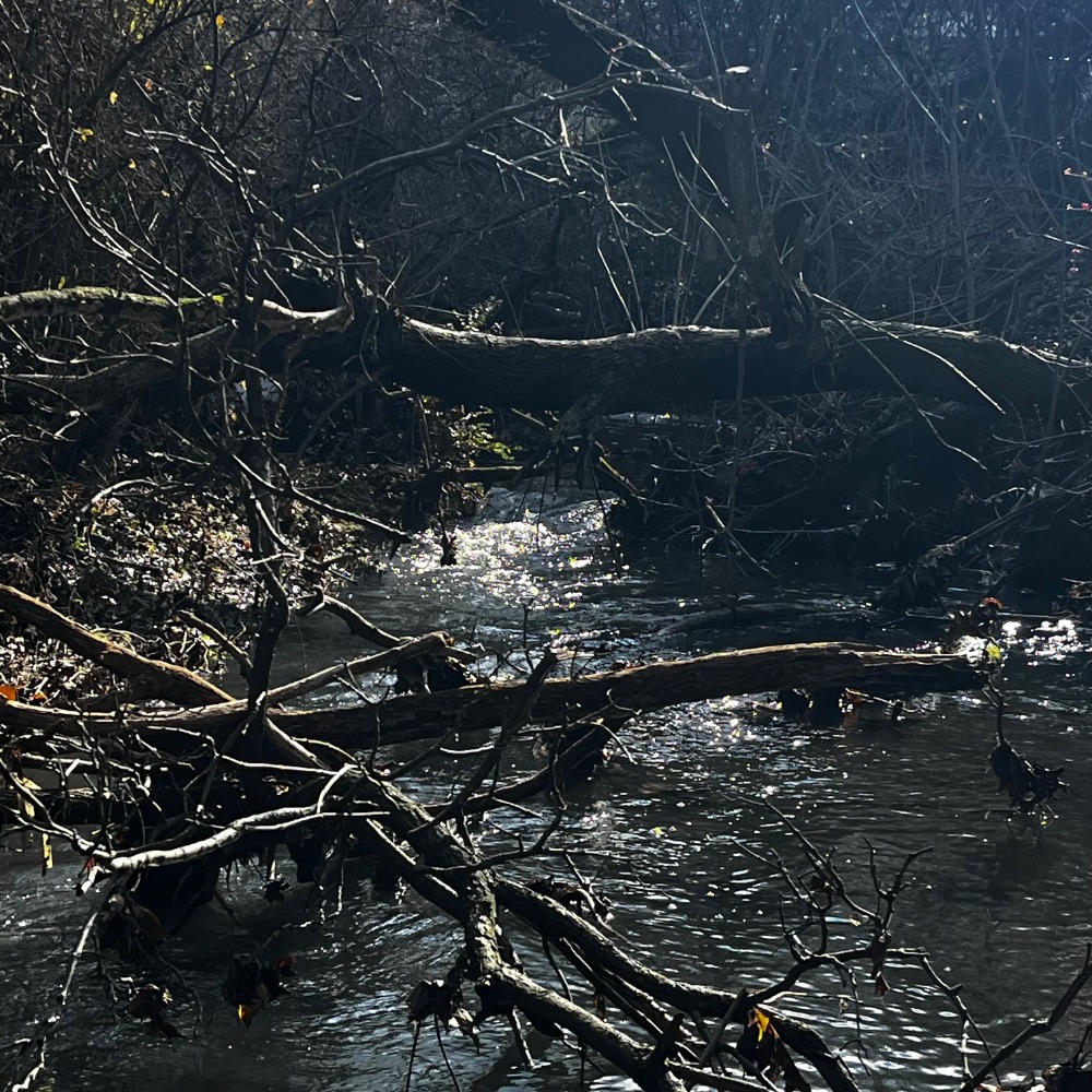 Stream 2 - December 2025